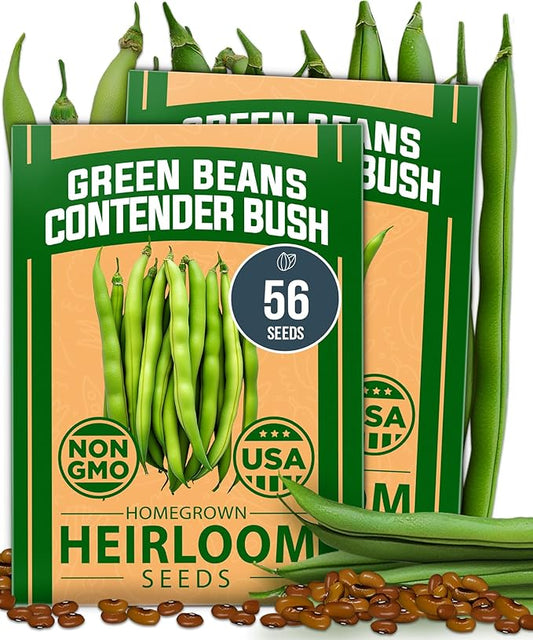 HOME GROWN Contender Bush Seeds - 56 𝗡𝗢𝗡-𝗚𝗠𝗢 𝗨𝗦𝗔-𝗦?𝗨𝗥𝗖𝗘𝗗, Heirloom Green Beans for Planting - Emergency Food Supply (Phaseolus vulgaris)