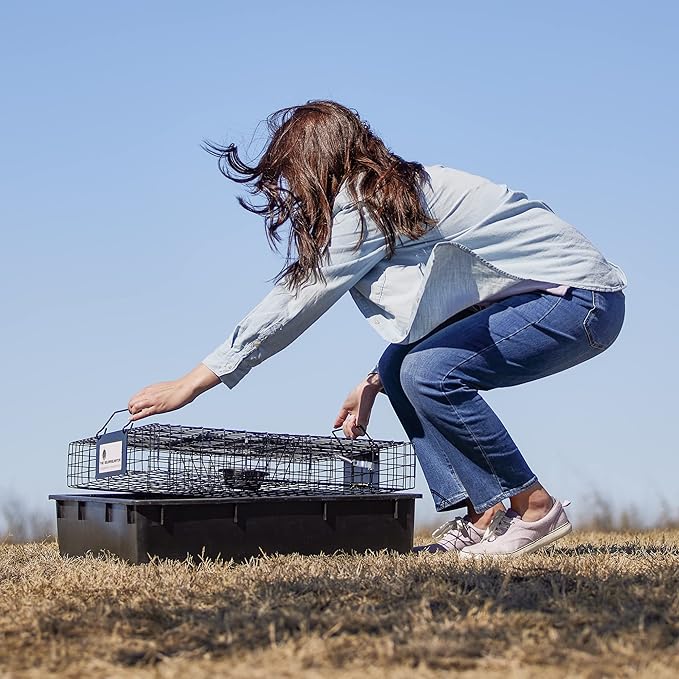 Rugged Ranch Squirrelinator w/ Waste Basin Outdoor Multi-Catch Squirrel Trap - Humane Live Cage Catcher, Rodent Control for Barns, Garages, Sheds, Gardens, Farms, Yards or Lawns