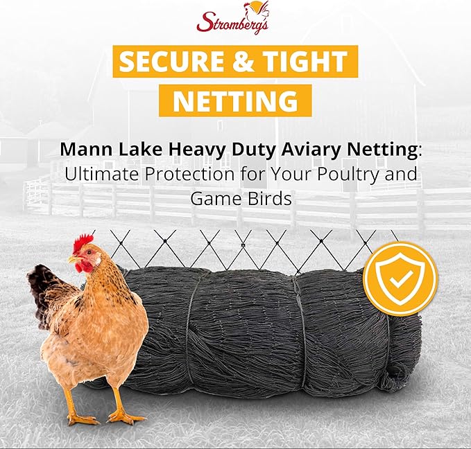 Stromberg’s 2” Mesh Heavy Duty Knotted Aviary Netting, UV Resistant Polyethylene Fiber for Birds, Pheasants & Poultry, 85 Lbs Break Strength Durable Against Weather and Predators, Size 100' x 100'