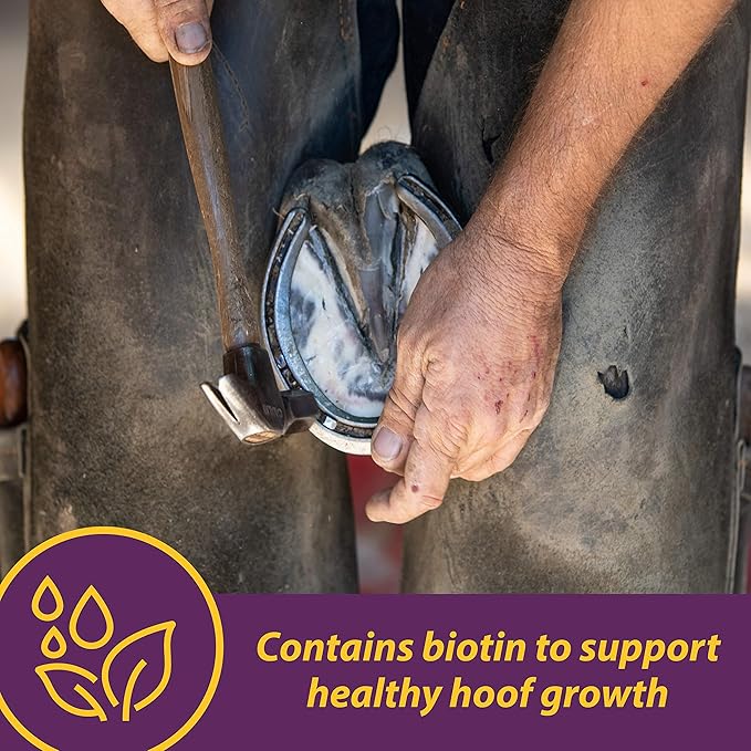 Farnam Horse Health Vita Biotin Crumbles horse hoof Supplement, Helps maintain healthy, sound hooves and strong hoof walls, 20 lbs., 320 day supply