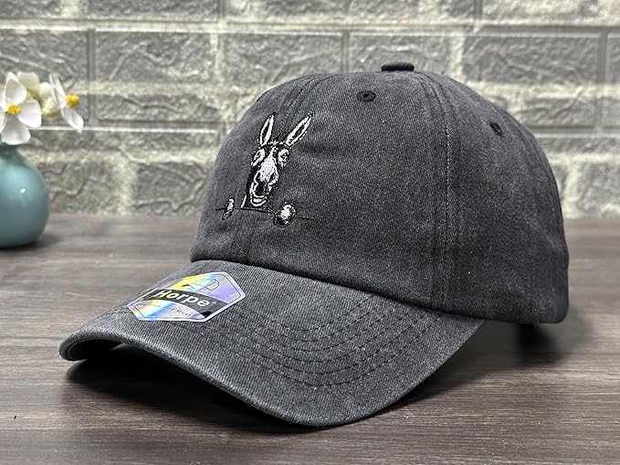 Embroidered Baseball Hats for Men and Women