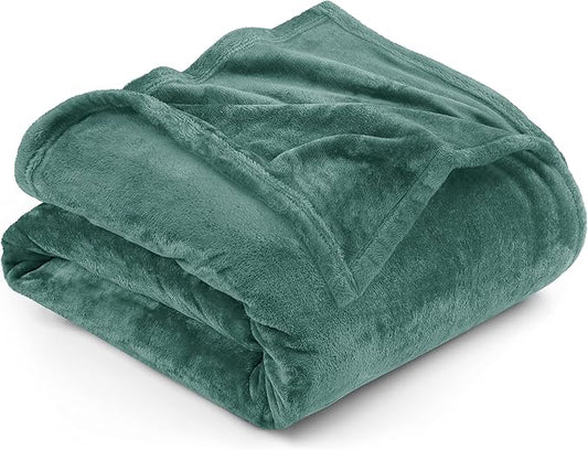 Utopia Bedding Fleece Blanket Queen Size Celadon 300GSM Luxury Fuzzy Soft Anti-Static Microfiber Bed Blanket (90x90 Inch)