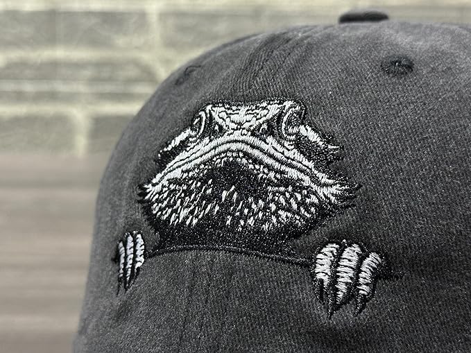 Embroidered Baseball Hats for Men and Women