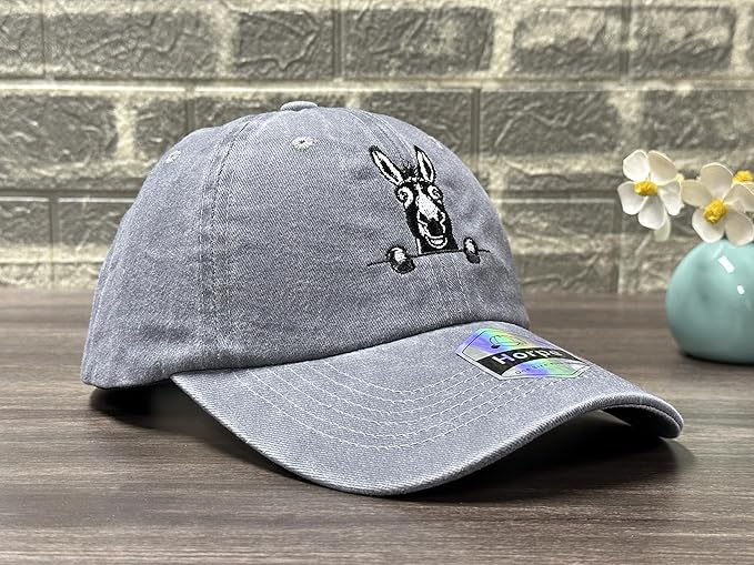 Embroidered Baseball Hats for Men and Women