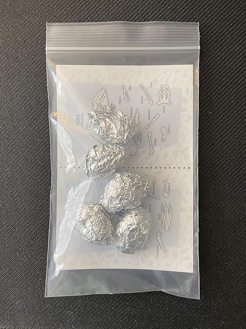 Premium Barn Owl Pellets, Small: 1.25"-1.5" (Pack of 5) - Free Bone ID Chart, 5 Forceps, 5 Paddle Picks, and Teaching Guide Included!