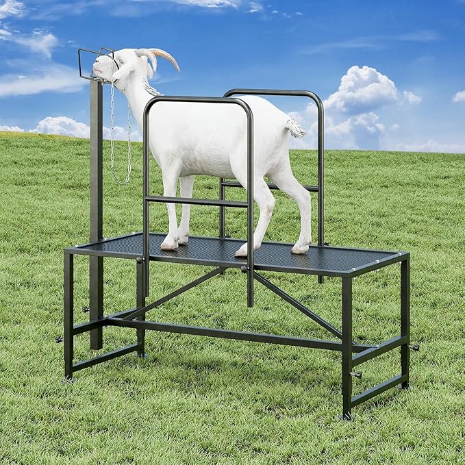 Metal Trimming Stand for Sheep Goat Milking Stand with Railings Livestock Stand with Adjustable Headpiece Goat Milking Stand for Clipping Hooves, Black