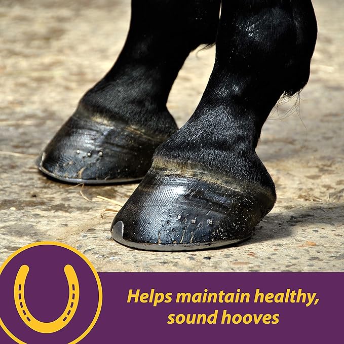 Farnam Horse Health Vita Biotin Crumbles horse hoof Supplement, Helps maintain healthy, sound hooves and strong hoof walls, 20 lbs., 320 day supply