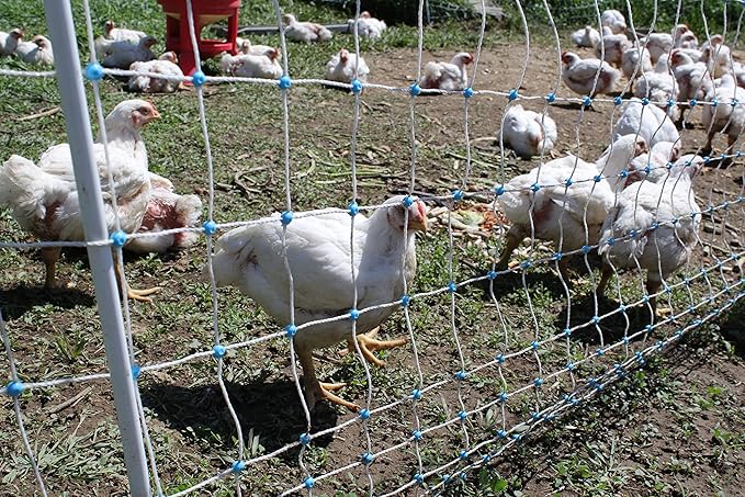 Starkline 48" x 164' Electric Poultry Netting with Double Spiked Fiberglass Posts | Electric Fence for Chickens in Backyards, Homesteads, Farms and Ranches