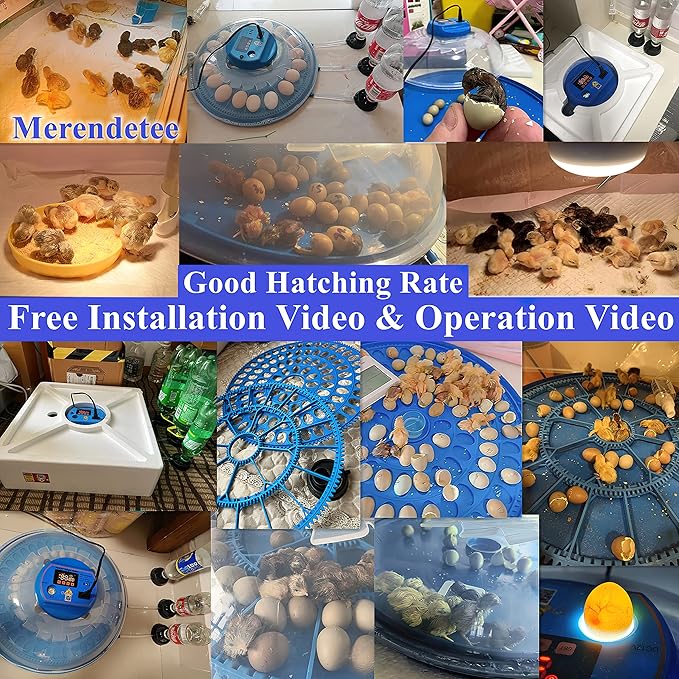 26-52 Eggs Automatic Incubator | Upgrade Automatic Water Adding |360 Degree View | incubators for Hatching Eggs |Without Installation Use (8-BLUE1T)