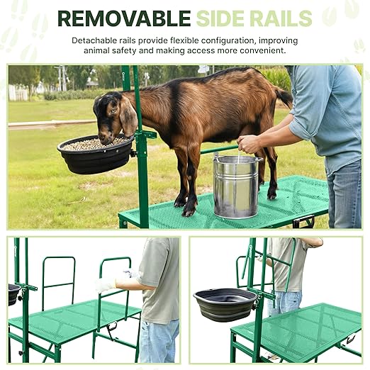 Goat Stand with Adjustable Headpiece & Legs, Goat Milking Stand with Feeder, Rails & Wheels, Stanchion for Grooming & Hoof Trimming, Sheep Stand for Shearing Heavy-Duty Steel Platform, Green