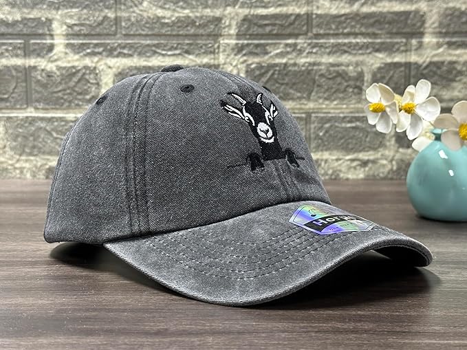 Embroidered Baseball Hats for Men and Women