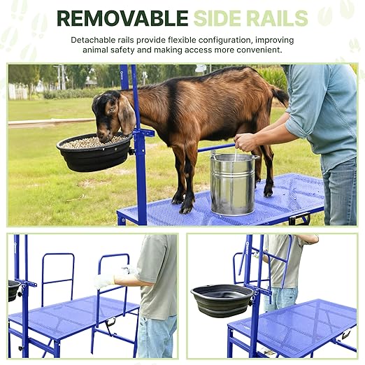 Goat Stand with Adjustable Headpiece & Legs, Goat Milking Stand with Feeder, Rails & Wheels, Stanchion for Grooming & Hoof Trimming, Sheep Stand for Shearing Heavy-Duty Steel Platform, Blue