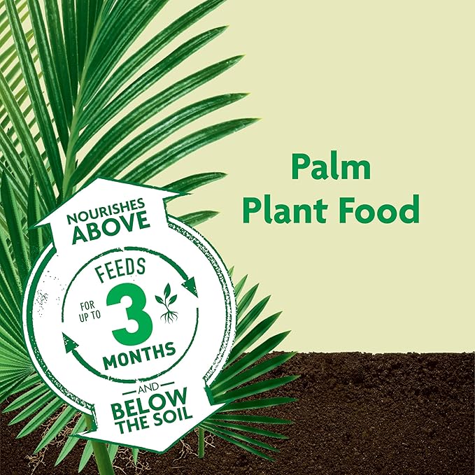 Miracle-Gro Shake 'N Feed Palm Plant Food, 8 lb., Feeds up to 3 Months