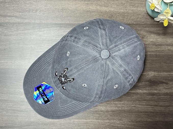 Embroidered Baseball Hats for Men and Women