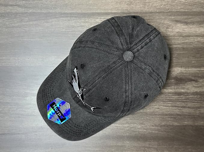 Embroidered Baseball Hats for Men and Women