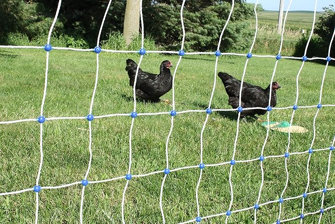 Starkline 48” x 100’ Premium Plus+ Braided Electric Poultry Netting (12/48/3) Electric Chicken Fencing for Backyards, Homesteads, Farms, and Ranches