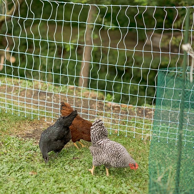 Starkline 48” x 100’ Premium Plus+ Braided Electric Poultry Netting (12/48/3) Electric Chicken Fencing for Backyards, Homesteads, Farms, and Ranches