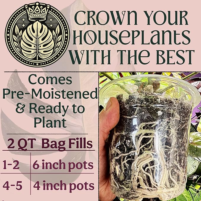 Craft Organic Houseplant Potting Mix, Elite House Plant Soil, Chunky, Well Draining Potting Soil for All Indoor Plants, Tropical Plants & Flowers, Sustainable & Peat Free, Less Prone to Gnats, 2QT