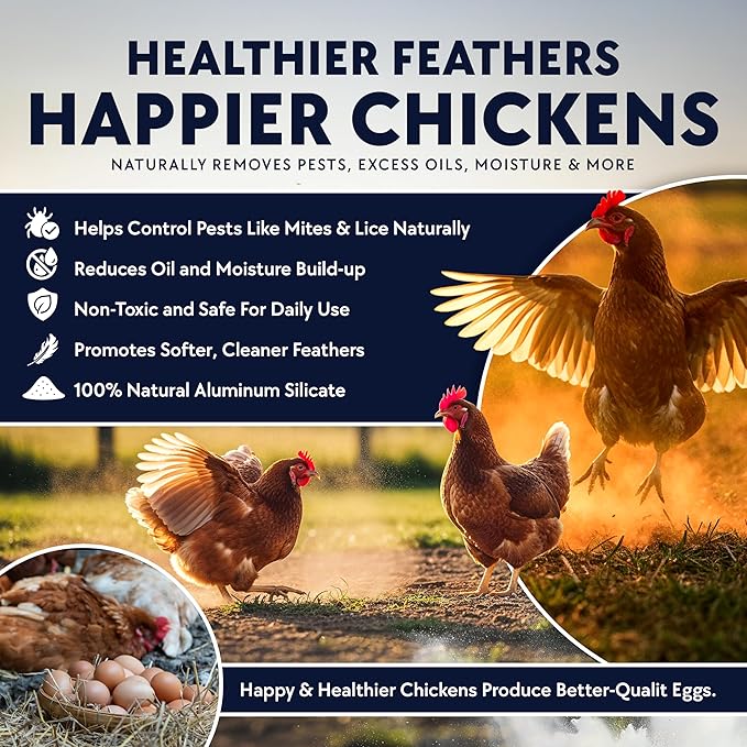 4 x 5.5lb Chickie Whiz Dust Bath, All-Natural Chickie Whiz Dust Bath Powder for Chickens for Healthier Chicken Eggs, Clean, Healthy Chickens Other Small Pet Animals by Billy Buckskin Co.