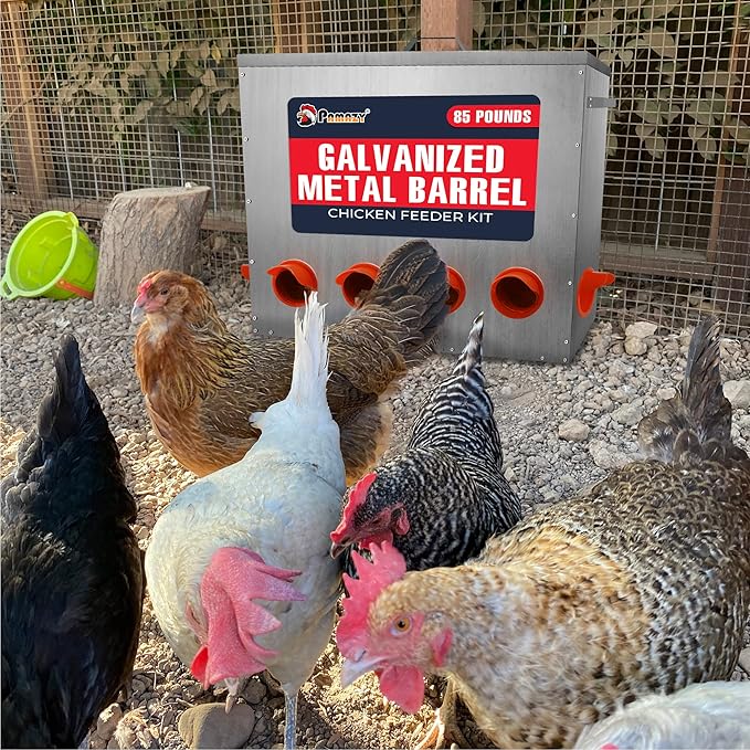 Large Capacity 85lbs Automatic Metal Poultry Feeder Set, Chicken Galvanized Trough, Chicken Feeder No Waste, Rainproof Poultry Feeders, Preventing Small Animals, Suitable for Chickens, Ducks, Turkeys