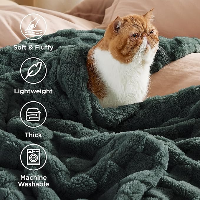 Bedsure GentleSoft Blankets Queen Size for Bed - Super Soft Cozy Blanket for Women Men Girls, Large Fuzzy Fleece Throw for Bedroom Decor, Dark Green, 90x90 Inches