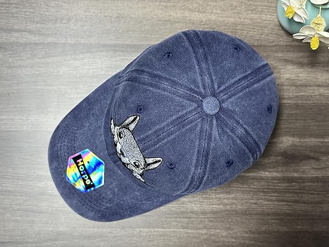Embroidered Baseball Hats for Men and Women