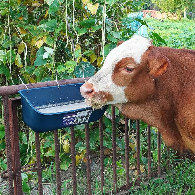 Goovilla Large Feed Trough, Hanging or Screw-in Fence Feeder with Clips, 2 Pack 9 Quart Goat Feeding Supplies, Dog Horse Hog Pig Livestock Poultry Plastic Feeder Trough Bucket for Large Animal, Blue