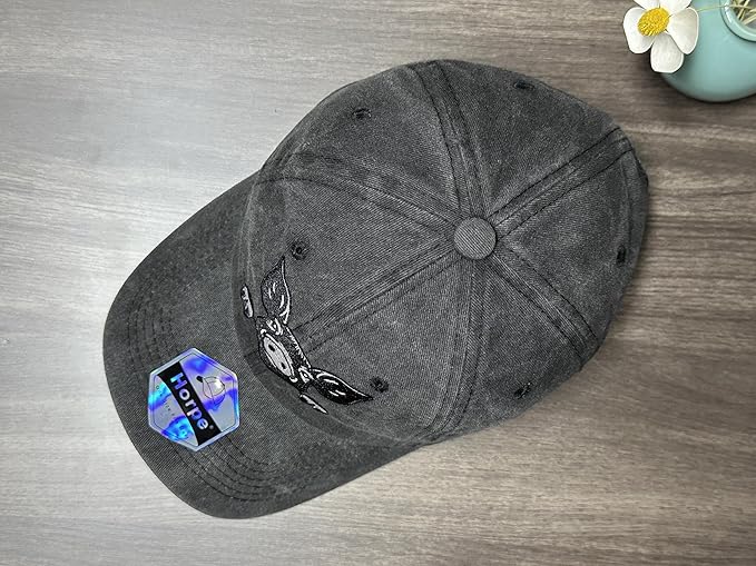 Embroidered Baseball Hats for Men and Women