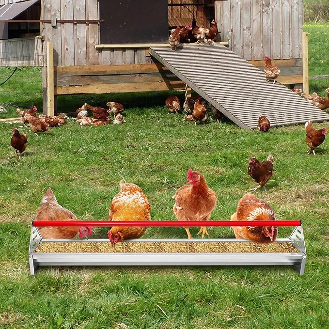 Chicken Feeding Trough 45", Heavy Duty Galvanized Steel Feeder with Drainage Holes & Crossbar, Poultry Feeder Trough for Chicken, Duck, Geese, Turkey, Rabbit and Pigeon