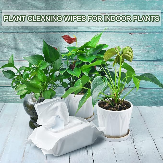 Plants Cleaning Wipes for Leaf Shine, Clean and Photosynthesis, Leaf Cleaner for House Plants Outdoor Plants (80 Wipes)