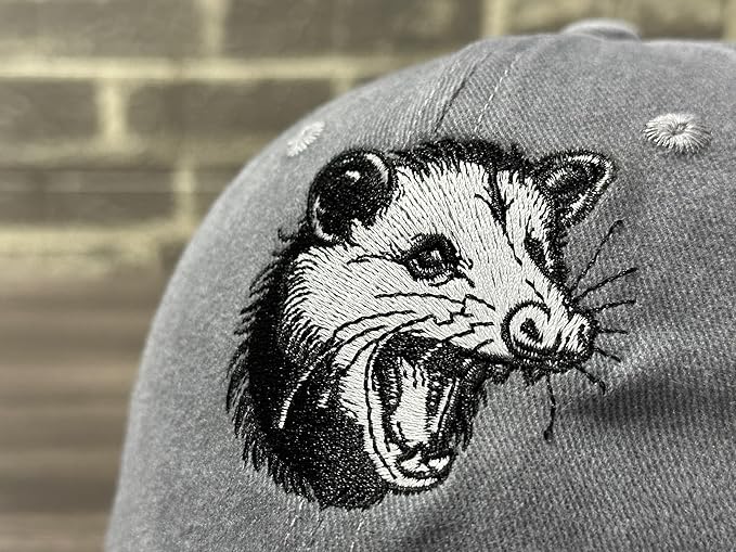Embroidered Baseball Hats for Men and Women