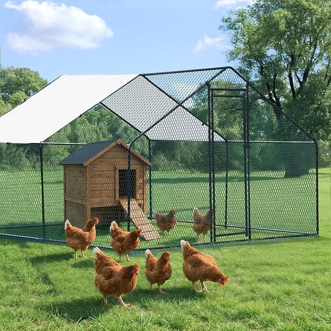 VINGLI Chicken Coop, Large Metal Poultry Cage for Chicken Run, Walk-in Chicken Pen with Waterproof & Anti-UV Cover Outdoor (Black-Spire Roof, 9.8 * 9.8 * 6.5 ft)