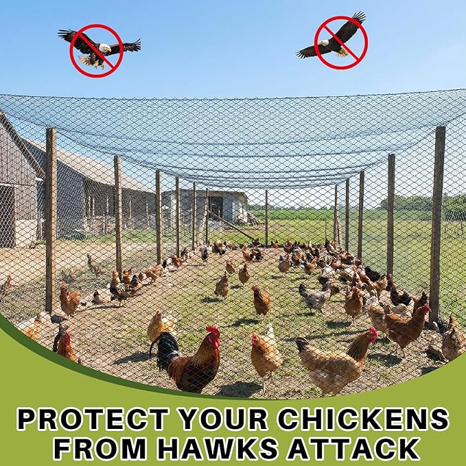 25 x 25 ft Aviary Bird Netting Commercial Grade Heavy Duty Knotted 1 inch Mesh for Chicken Netting Poultry Net Aviary Gamefowl Garden Blueberries Fruit Trees