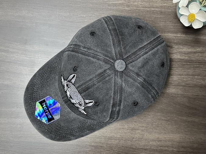 Embroidered Baseball Hats for Men and Women