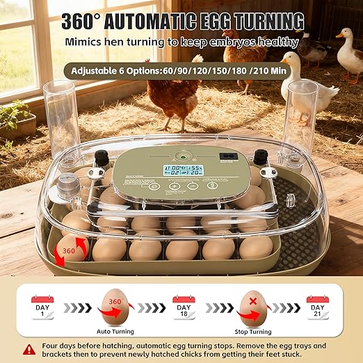 Incubators for Hatching Eggs, 24 Egg Incubator with Automatic Egg Turning and Humidity Control, Egg Candler, 360° Viewing, Chicken Incubators for Hatching Eggs, Quail Eggs, Duck Eggs Poultry