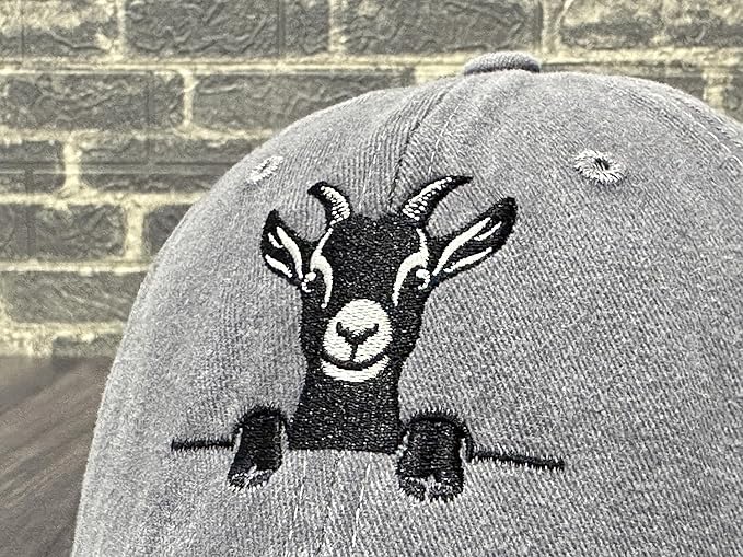 Embroidered Baseball Hats for Men and Women