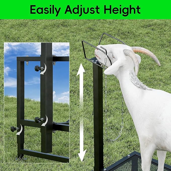 Metal Trimming Stand for Sheep Goat Milking Stand with Railings Livestock Stand with Adjustable Headpiece Goat Milking Stand for Clipping Hooves, Black