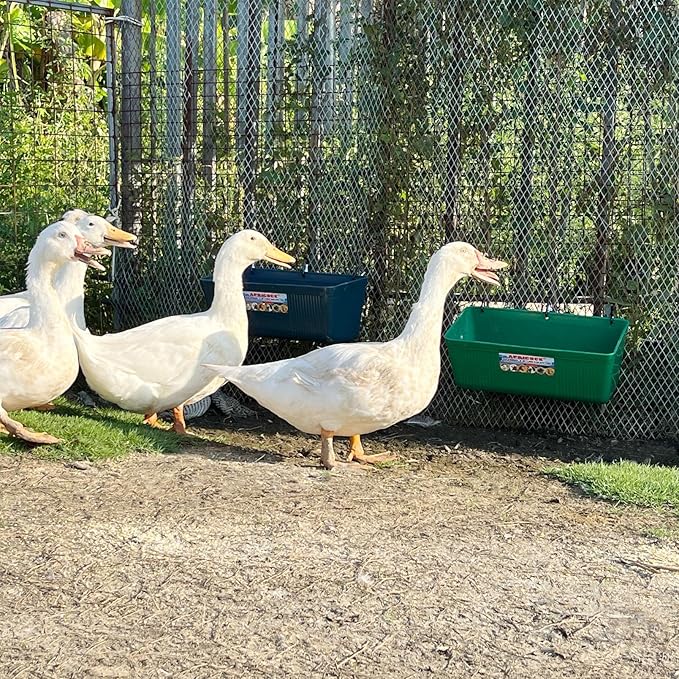 Large Feed Trough and Goat Feeder - 2 Pack Hanging Feeder with Clips, Waterer Bucket, Fence Feed Trough, Goat Supplies, 10 Quart