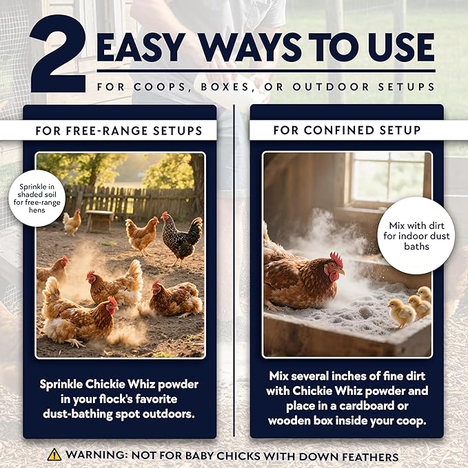 4 x 5.5lb Chickie Whiz Dust Bath, All-Natural Chickie Whiz Dust Bath Powder for Chickens for Healthier Chicken Eggs, Clean, Healthy Chickens Other Small Pet Animals by Billy Buckskin Co.