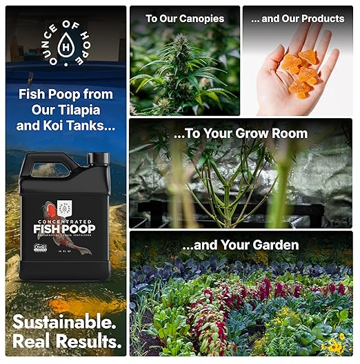 OMRI Listed Organic Concentrated Fish Poop - Liquid Fertilizer for Vegetable Gardens, Indoor Plant Food for Houseplants, Hydroponic Nutrients, Soil Amendment (16 Ounces)