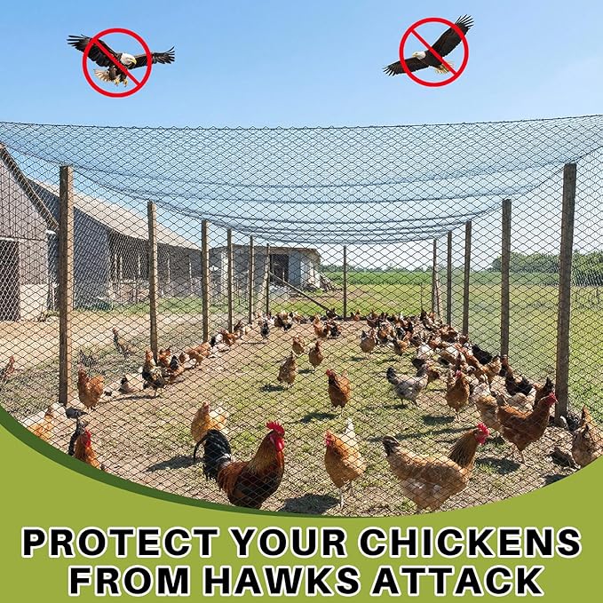 50 x 50 ft Aviary Bird Netting Commercial Grade Heavy Duty Knotted 2 inch Mesh for Chicken Netting Poultry Net Aviary Gamefowl Garden Blueberries Fruit Trees