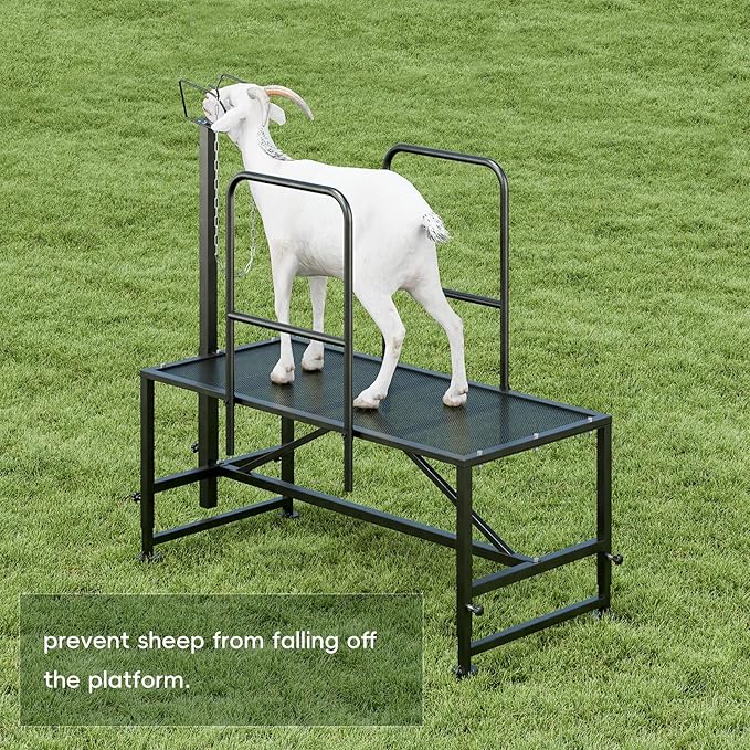 Metal Trimming Stand for Sheep Goat Milking Stand with Railings Livestock Stand with Adjustable Headpiece Goat Milking Stand for Clipping Hooves, Black