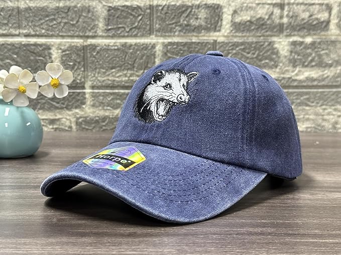 Embroidered Baseball Hats for Men and Women
