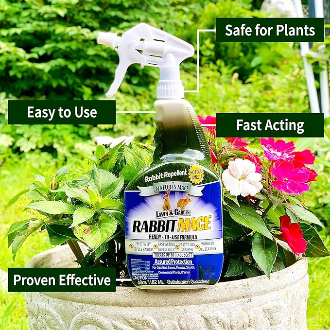 Nature’s Mace Rabbit MACE Concentrate, Deterrent for Yard, Rabbit Repellent Outdoor, Mint Rabbit Spray, Garden, Lawn, Keep Rabbits Out Safe to Use Around People, Pets, Plants, 640 Fl Oz (Pack of 1)