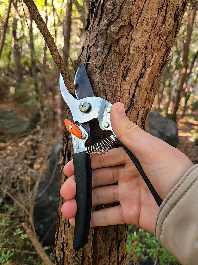 Saboten 7.9-Inch Bypass Pruning Shears, Fluorine-Coated High-Carbon Steel Blade, Ergonomic Non-Slip Grip Hand Pruner, Made in Japan, forest Originals