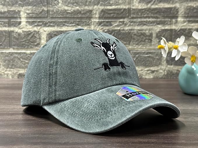 Embroidered Baseball Hats for Men and Women