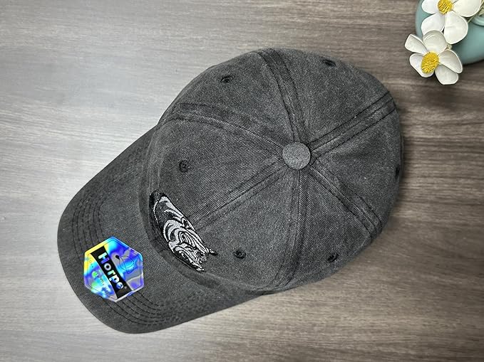 Embroidered Baseball Hats for Men and Women