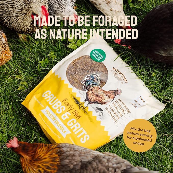 Hatortempt Chicken Feed Granules - 10 lb, Non-GMO - Protein-Rich Meal Worms & Black Soldier Fly Larvae & Oyster Shell Grubs Mix - Calcium Grit & Treats for Chickens - Egg Layer Feed