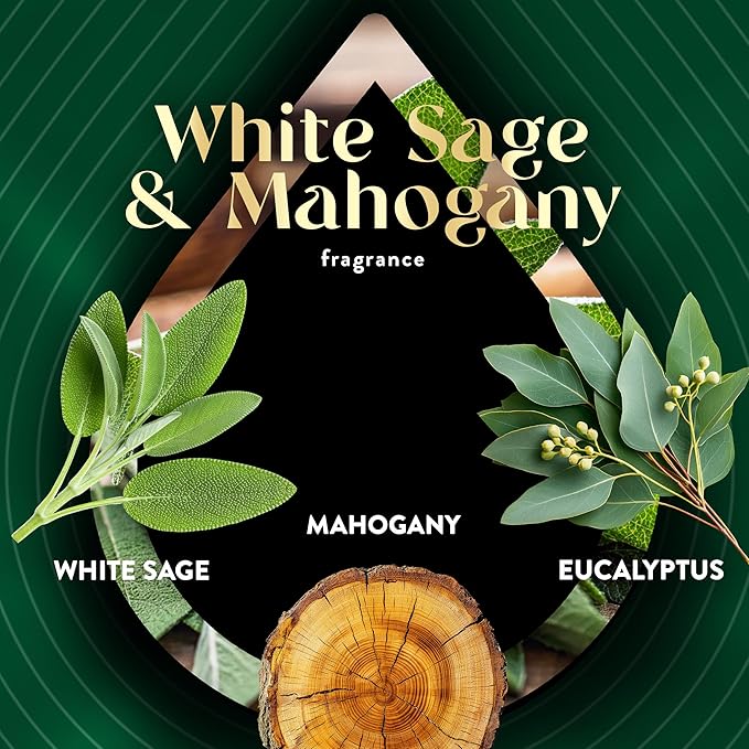 Air Wick Vibrant Plug In Scented Oil Refill,White Sage & Mahogany, 5 ct