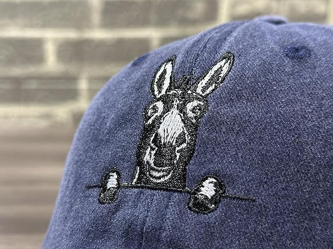 Embroidered Baseball Hats for Men and Women
